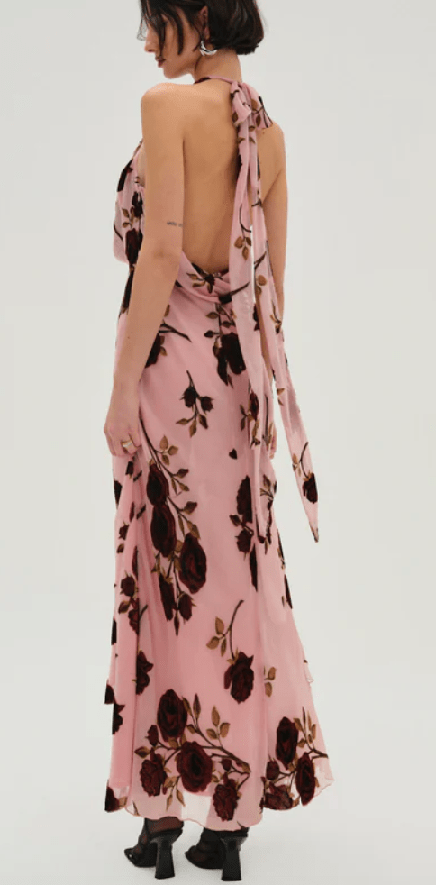 Rose Velvet Maxi Dress by for Love & Lemons